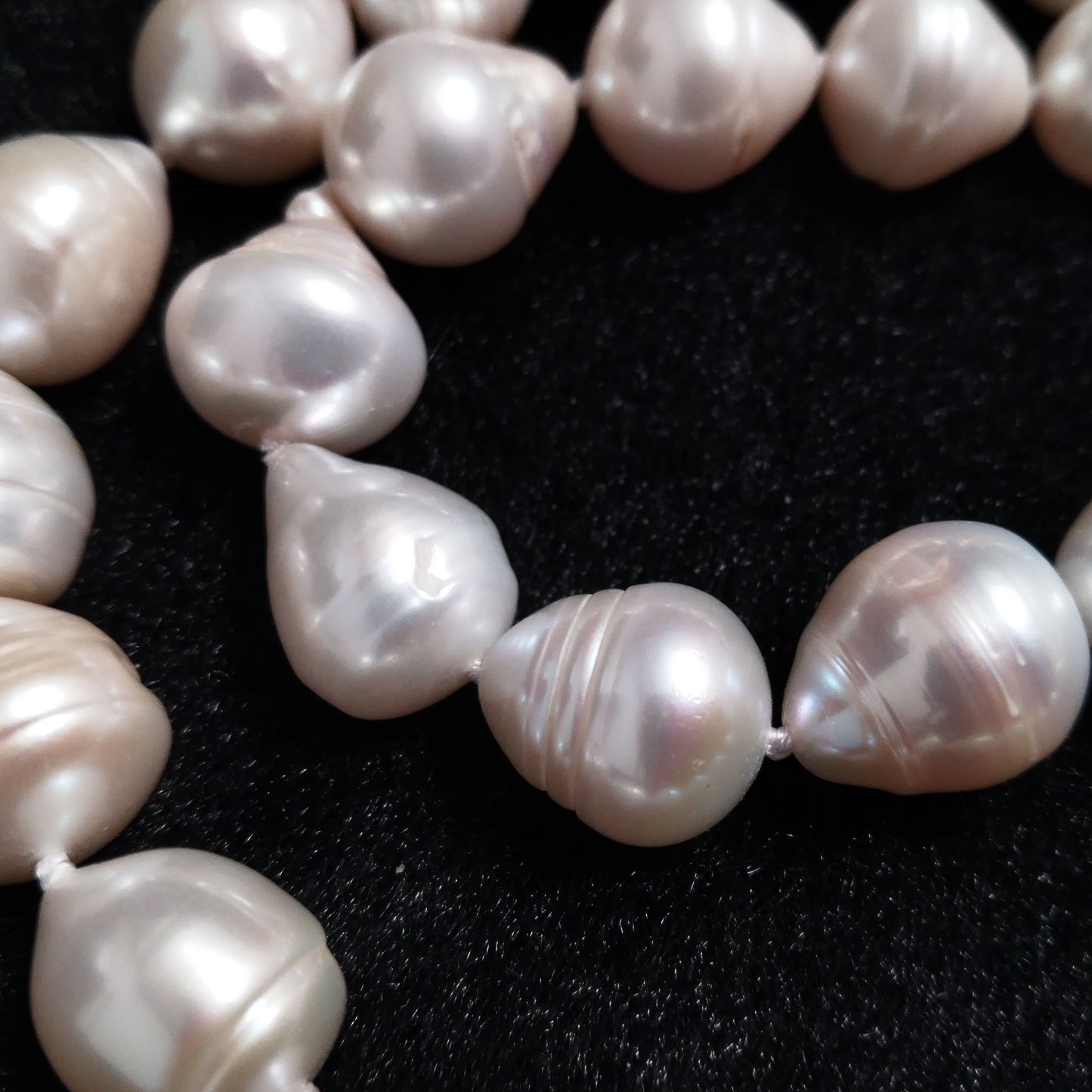 Big drop white freshwater pearl necklace 17" with extra chain 11-13*13-15mm size